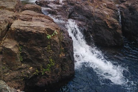 Full-Day Private Guided Tour To Litchfield National Park - Sydney 4u 8