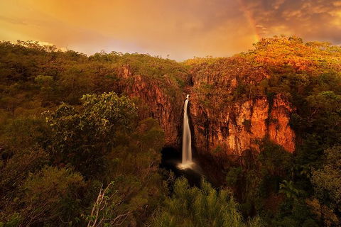 Full-Day Private Guided Tour To Litchfield National Park - Sydney 4u 20