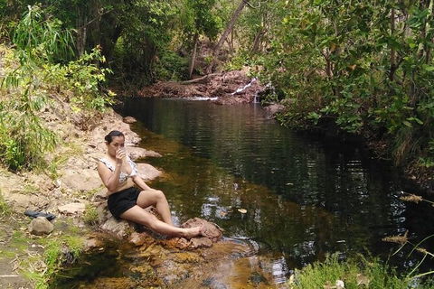 Full-Day Private Guided Tour To Litchfield National Park - Sydney 4u 11