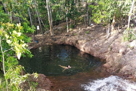 Full-Day Private Guided Tour To Litchfield National Park - Sydney 4u 18