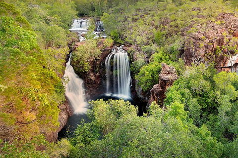 Full-Day Private Guided Tour To Litchfield National Park - Sydney 4u 0