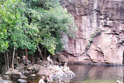 Full-Day Private Guided Tour To Litchfield National Park - Sydney 4u 16
