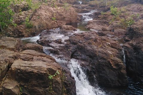 Full-Day Private Guided Tour To Litchfield National Park - Sydney 4u 15