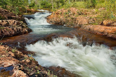 Full-Day Private Guided Tour To Litchfield National Park - Sydney 4u 3