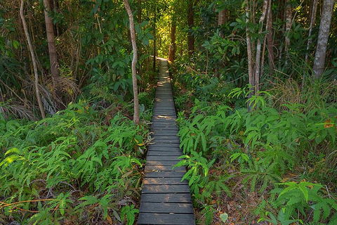 Full-Day Private Guided Tour To Litchfield National Park - Sydney 4u 7