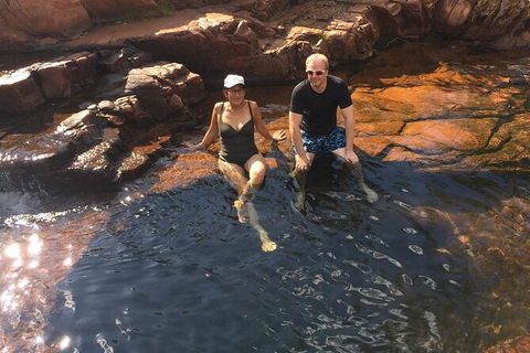 Full-Day Private Guided Tour To Litchfield National Park - Sydney 4u 22