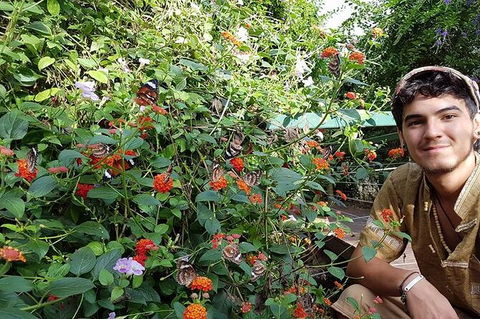 Full-Day Private Guided Tour To Litchfield National Park - Sydney 4u 17