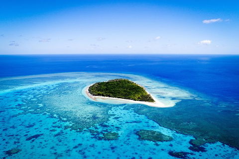 Lady Musgrave Day Trip From Bundaberg Including Snorkeling, Glass Bottom Tour And Guided Island Walk - Sydney 4u 0