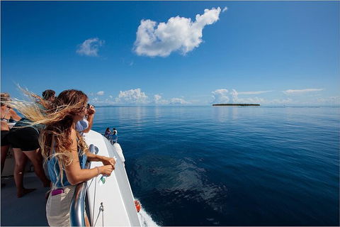 Lady Musgrave Day Trip From Bundaberg Including Snorkeling, Glass Bottom Tour And Guided Island Walk - Sydney 4u 4