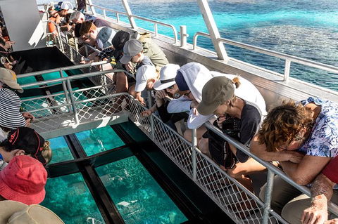Lady Musgrave Day Trip From Bundaberg Including Snorkeling, Glass Bottom Tour And Guided Island Walk - Sydney 4u 3
