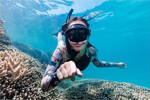 Lady Musgrave Day Trip From Bundaberg Including Snorkeling, Glass Bottom Tour And Guided Island Walk - Sydney 4u 1
