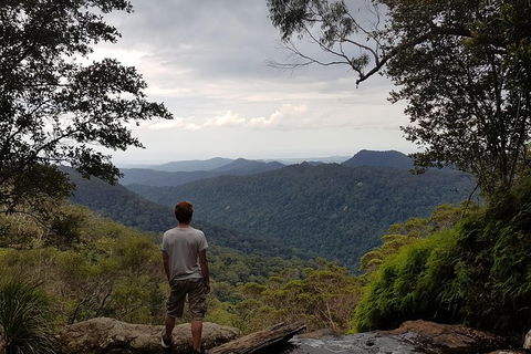 Small Group Gold Coast Mountain Tour: Springbrook National Park And Mt Tamborine - Accommodation Sydney 6
