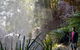 Small Group Gold Coast Mountain Tour: Springbrook National Park And Mt Tamborine - thumb 7
