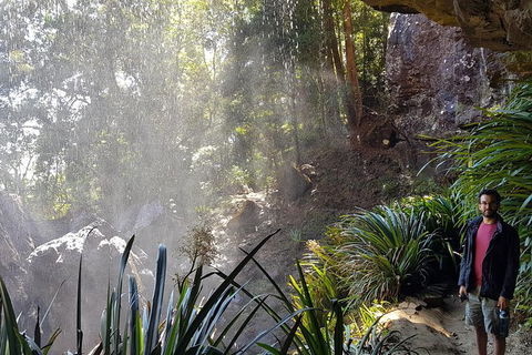 Small Group Gold Coast Mountain Tour: Springbrook National Park And Mt Tamborine - Accommodation Sydney 7