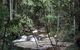 Small Group Gold Coast Mountain Tour: Springbrook National Park And Mt Tamborine - thumb 8