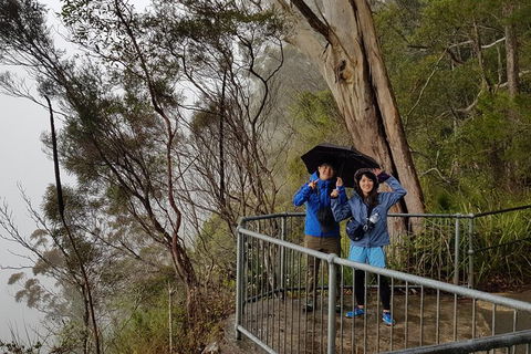 Small Group Gold Coast Mountain Tour: Springbrook National Park And Mt Tamborine - Accommodation Sydney 1