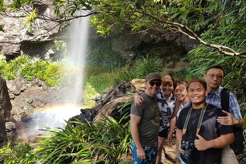 Small Group Gold Coast Mountain Tour: Springbrook National Park And Mt Tamborine - Accommodation Sydney 0