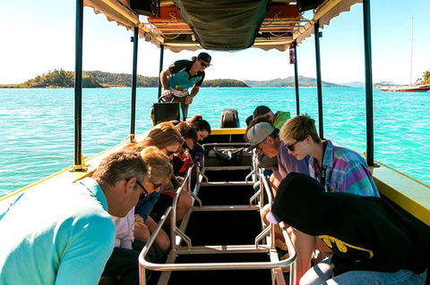 Airlie Beach Glass Bottom Boat Tour - Accommodation Sydney 5