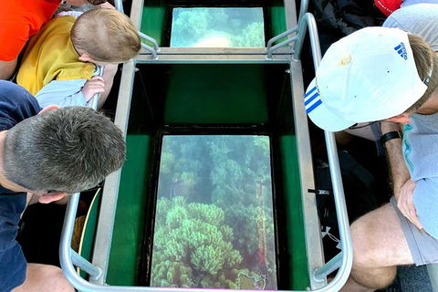 Airlie Beach Glass Bottom Boat Tour - Accommodation Sydney 2