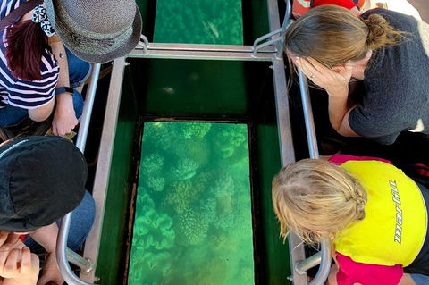 Airlie Beach Glass Bottom Boat Tour - Accommodation Sydney 11