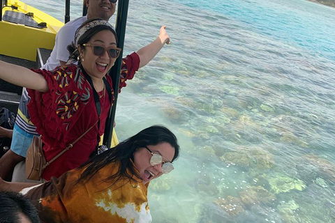 Airlie Beach Glass Bottom Boat Tour - Accommodation Sydney 6