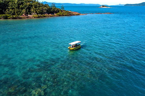 Airlie Beach Glass Bottom Boat Tour - Accommodation Sydney 8