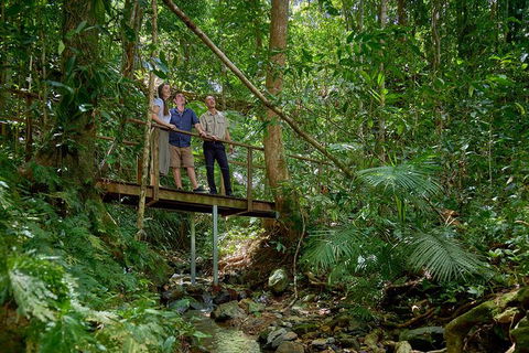 Daintree And Cape Tribulation Tour From Cairns - Sydney 4u 3