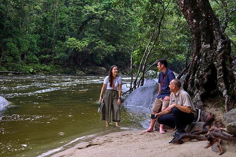 Daintree And Cape Tribulation Tour From Cairns - Sydney 4u 2