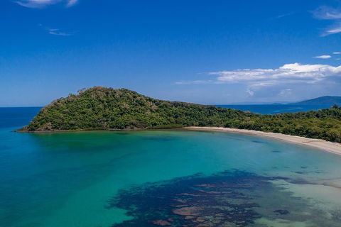Daintree And Cape Tribulation Tour From Cairns - Sydney 4u 7