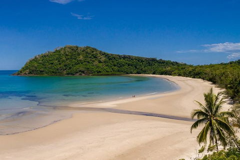 Daintree And Cape Tribulation Tour From Cairns - Sydney 4u 8