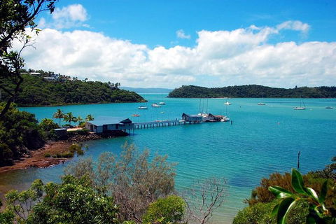 Shared Departure Transfer: Airlie Beach To Proserpine Airport - Accommodation Sydney 1