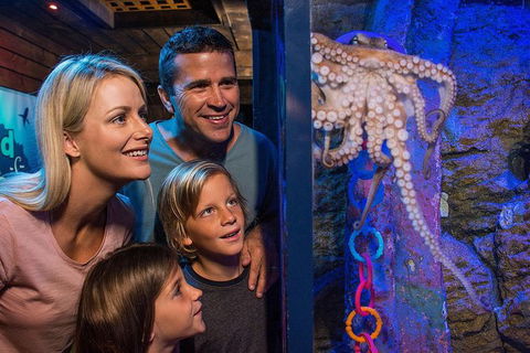 SEA LIFE Sunshine Coast Aquarium Entrance Ticket - Accommodation Sydney 5