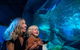SEA LIFE Sunshine Coast Aquarium Entrance Ticket - thumb 4