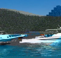 Private Standard Charter Experience in Whitsundays - Accommodation Sydney