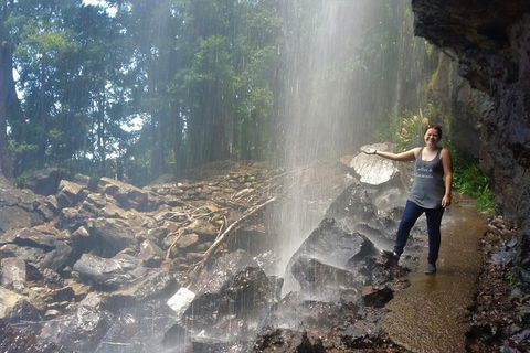 Small Group Tour (Max 6) Gold Coast Super 7 Waterfalls Tour: Springbrook - Accommodation Sydney 1