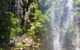 Small Group Tour (Max 6) Gold Coast Super 7 Waterfalls Tour: Springbrook - thumb 5