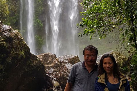 Small Group Tour (Max 6) Gold Coast Super 7 Waterfalls Tour: Springbrook - Accommodation Sydney 6