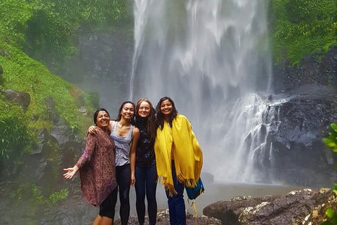 Small Group Tour (Max 6) Gold Coast Super 7 Waterfalls Tour: Springbrook - Accommodation Sydney 0