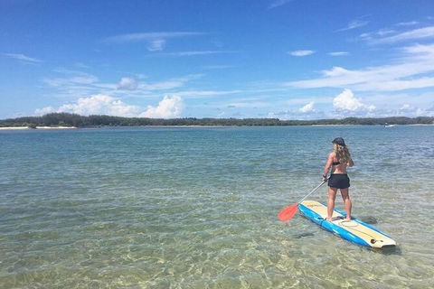 Early Morning Weekend Paddleboard Special - Sydney 4u 4