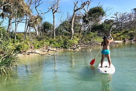 Early Morning Weekend Paddleboard Special - Sydney 4u 5