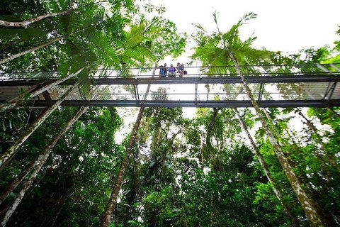 Daintree Discovery Centre Family Pass Ticket - Sydney 4u 3