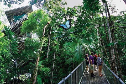 Daintree Discovery Centre Family Pass Ticket - Sydney 4u 2
