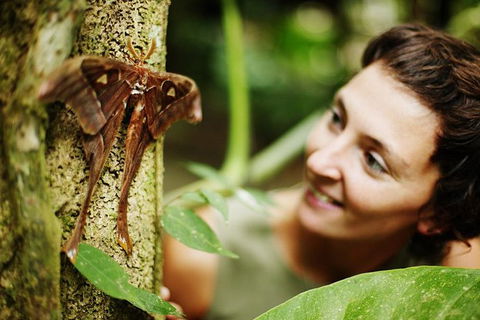 Sightseeing Tour - Full Day - Accommodation Sydney 3