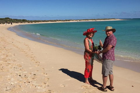 Elope In Paradise - Weddings At Mission Beach - Sydney 4u 6