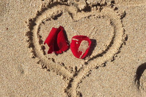 Elope In Paradise - Weddings At Mission Beach - Sydney 4u 3