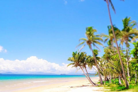 Airport Transfer - Cairns Airport To Mission Beach - Accommodation Sydney 1