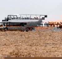 Nogo Station Experience - Sydney Resort