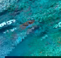 Premium Private Charter - Accommodation Sydney