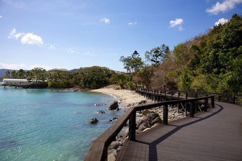 Rainforest To Reef Experience - Reef And Beyond Guided Holidays - Accommodation Sydney 4