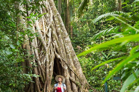 Rainforest To Reef Experience - Reef And Beyond Guided Holidays - Accommodation Sydney 2